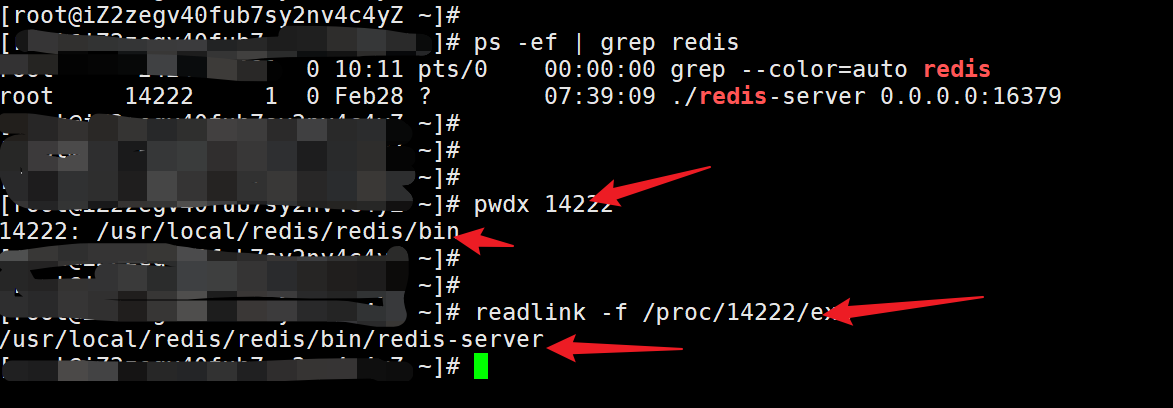 Linux怎么查看某个应用服务器文件位置方法？