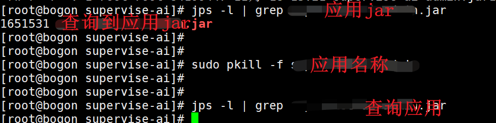 Spring Boot管理技巧：利用pkill命令快速停止应用